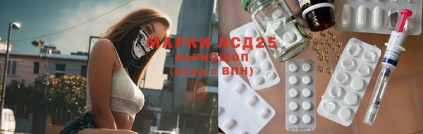 стаф Баксан