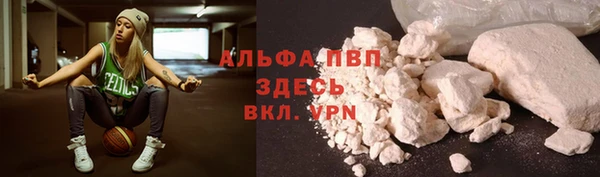 spice Тайга