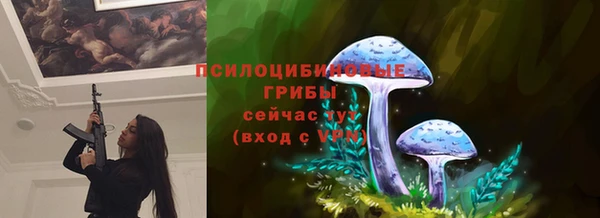 гидропоника Балахна
