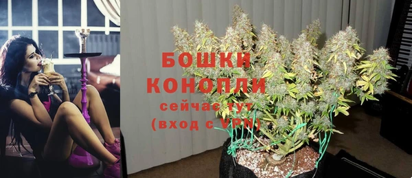 гидропоника Балахна
