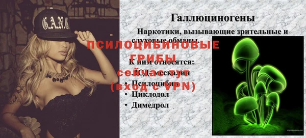 стаф Баксан