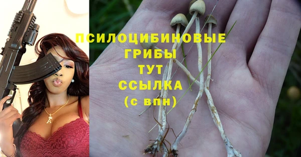 дживик Балабаново
